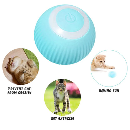 Smart LED 360° Rotating Cat/Dog Toy Ball ( Buy 1 Get 1 Free)(Pack of 2)