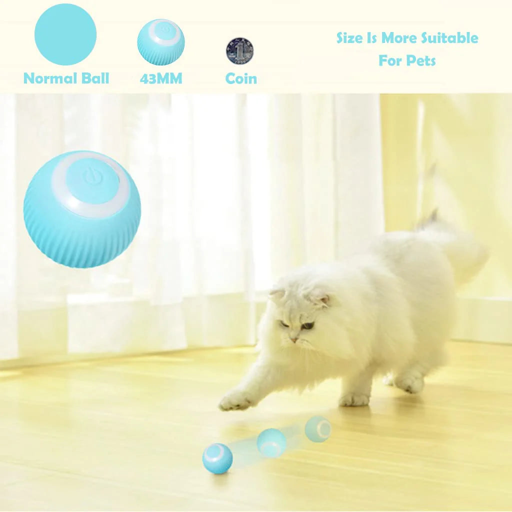 Smart LED 360° Rotating Cat/Dog Toy Ball ( Buy 1 Get 1 Free)(Pack of 2)