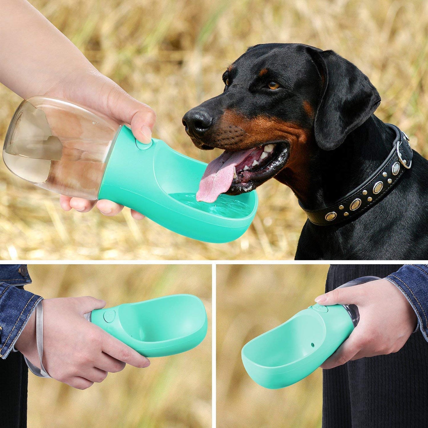 Portable Pet Water Bottle for On-the-Go Hydration ( 350 ml)